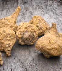 Maka peruánska - Lepidium Meyenii - semená maky - 5 ks