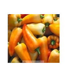 Paprika maďarská Fehér - predaj semien papriky - 20 ks