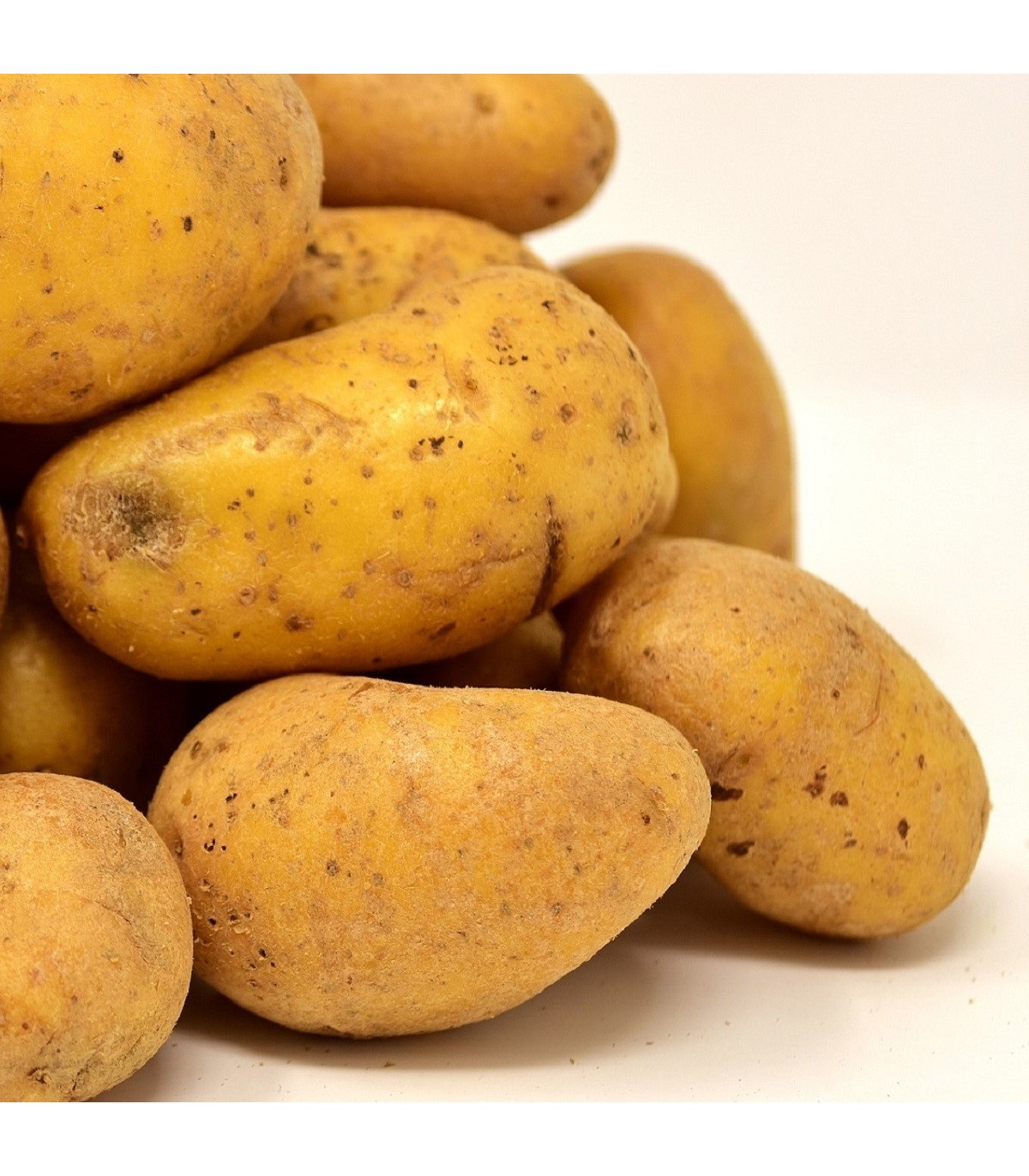 Sadbové zemiaky Sunshine C2 - Solanum tuberosum - žlté skoré - 5 kg