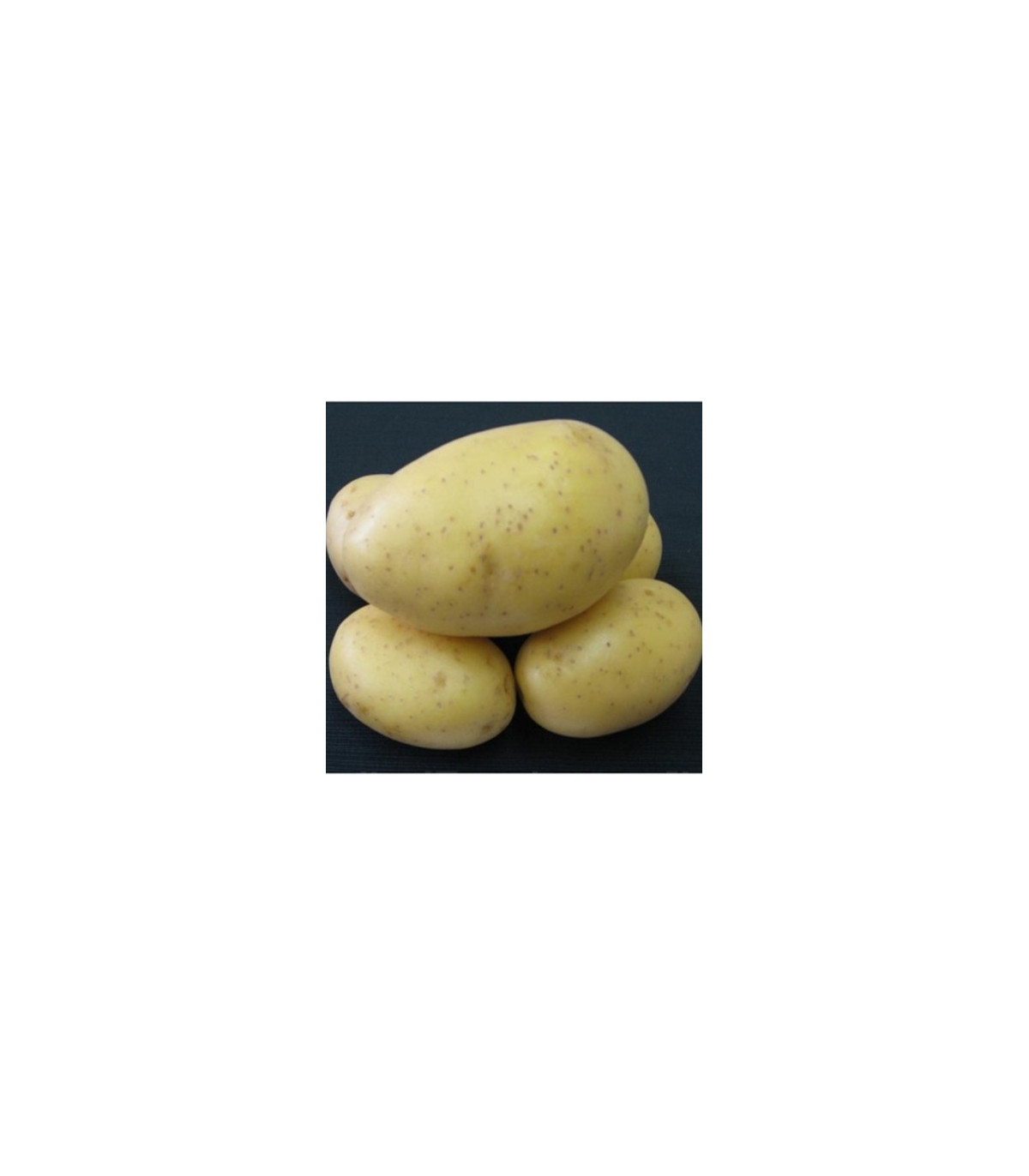 Sadbové zemiaky Princess - Solanum tuberosum - 5 kg ​