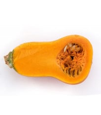 Tekvica maslová Honeynut - Cucurbita moschata - semená tekvica - 6 ks ​