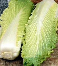 BIO Kapusta pekingská Granat - Brassica oleracea - bio semená kapusty - 100 ks
