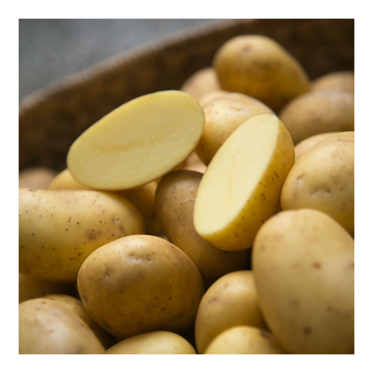 Sadbové zemiaky Belana - Solanum tuberosum - Kiepenkerl - 10 ks