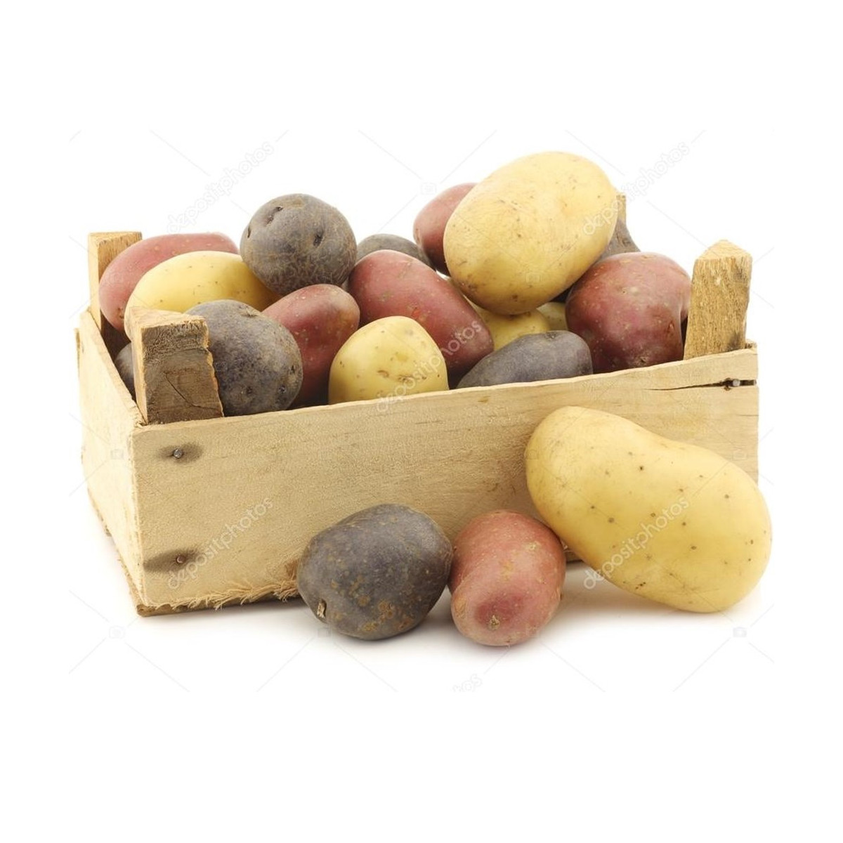 Sadbové zemiaky - 4 druhy - Solanum tuberosum - 12 ks