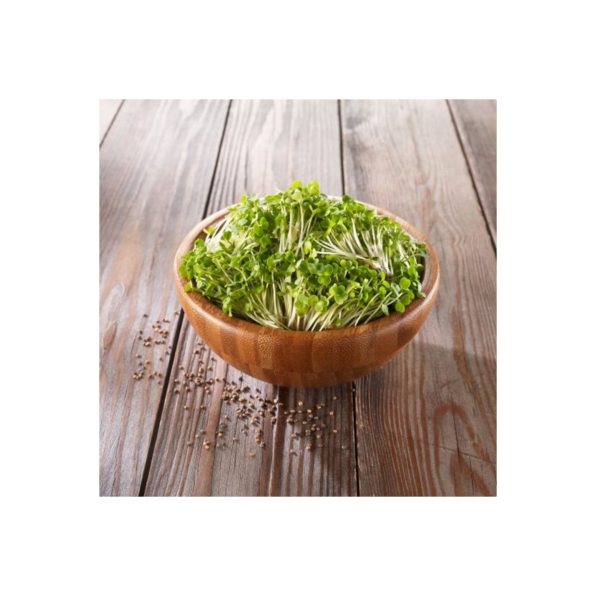 BIO Rukola - bio semená na klíčenie - 50 g