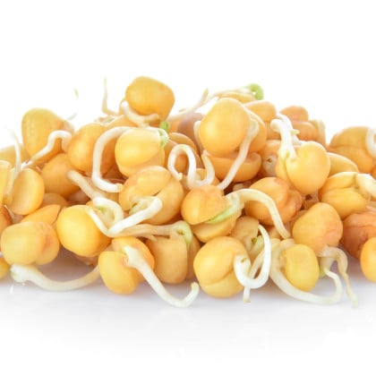 BIO Cícer baranový - bio semená na klíčenie - 200 g