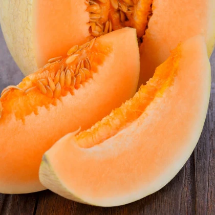 Melón cukrový Sweet Granite - Cucumis melo - semená melónu - 10 ks