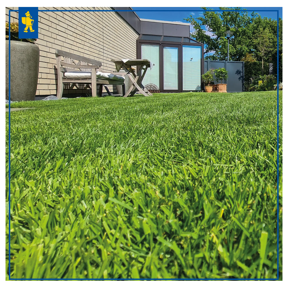 Trávnik Štadiónrasen na ihrisko - osivo Kiepenkerl - 1 kg