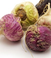 Ženšen peruánsky fialový - Lila Maca - Lepidium - semená - 5 ks