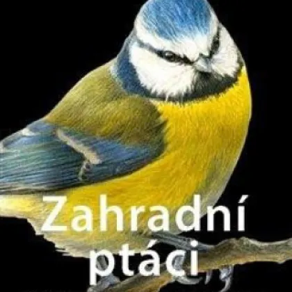 Záhradné vtáky - Spoznajte ľahko 75 druhov - kniha - 1 ks