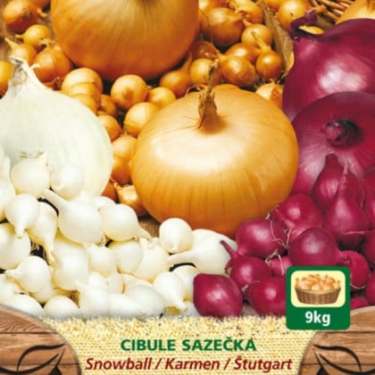 Zmes sadzačiek - Snowball, Karmen, Štutgart - Allium cepa - 150 g
