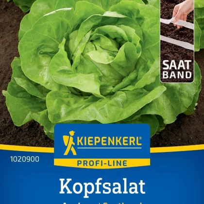 Šalát Analena - výsevný pásik - 1 ks