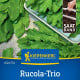 Rukola trio Wildfire, Astra a Ruca - výsevný pásik - 1 ks