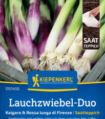 Duo jarnej cibuľky Kaigaro a Rossa Lunga di Firenze - výsevný pásik - 15x150 cm