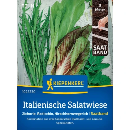 Semená talianskych šalátov - výsevný pásik - 5 m