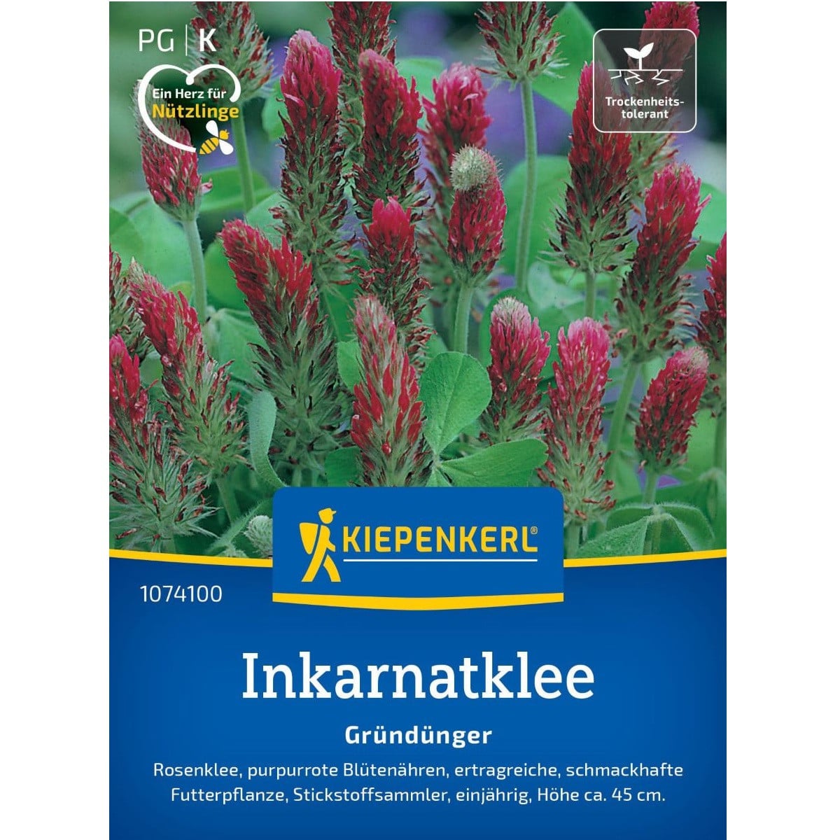 Zelené hnojenie - Ďatelina inkarnát - semená - 75 g