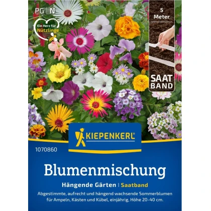 Zmes vzpriamených a previsnutých kvetov - výsevný pásik - 5 m