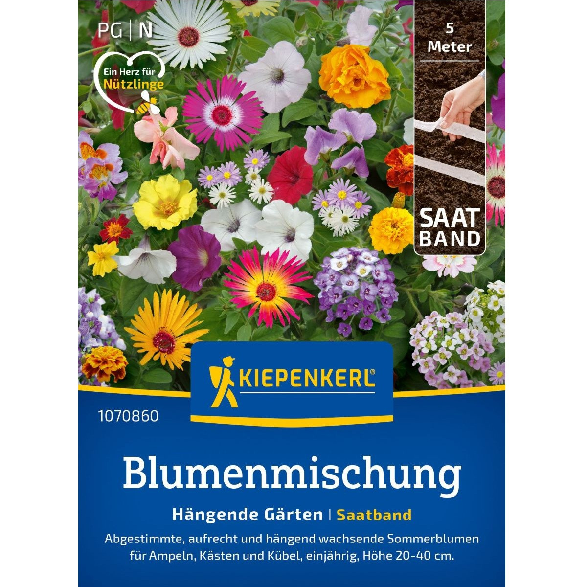 Zmes vzpriamených a previsnutých kvetov - výsevný pásik - 5 m