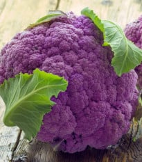 Karfiol Di Sicilia Violetto - Brassica oleracea - semená karfiolu - 30 ks
