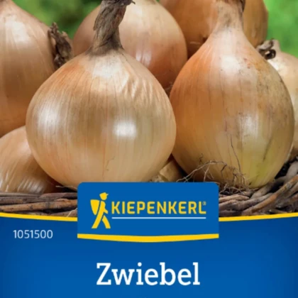 Cibuľa Exhibition - Allium cepa - semená cibule - 100 ks