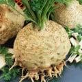 Zeler buľvový Kompakt – Apium graveolens – semená zeleru