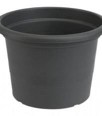 Kvetináč Campanula sivý - 13 x 9 cm - 1 ks