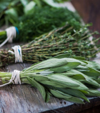 Tri obľúbené bylinky - výsevný pásik - Sperli - 1 ks