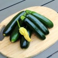 Cuketa Sandokan F1 - Cucurbita pepo - semena cukety - 8 ks
