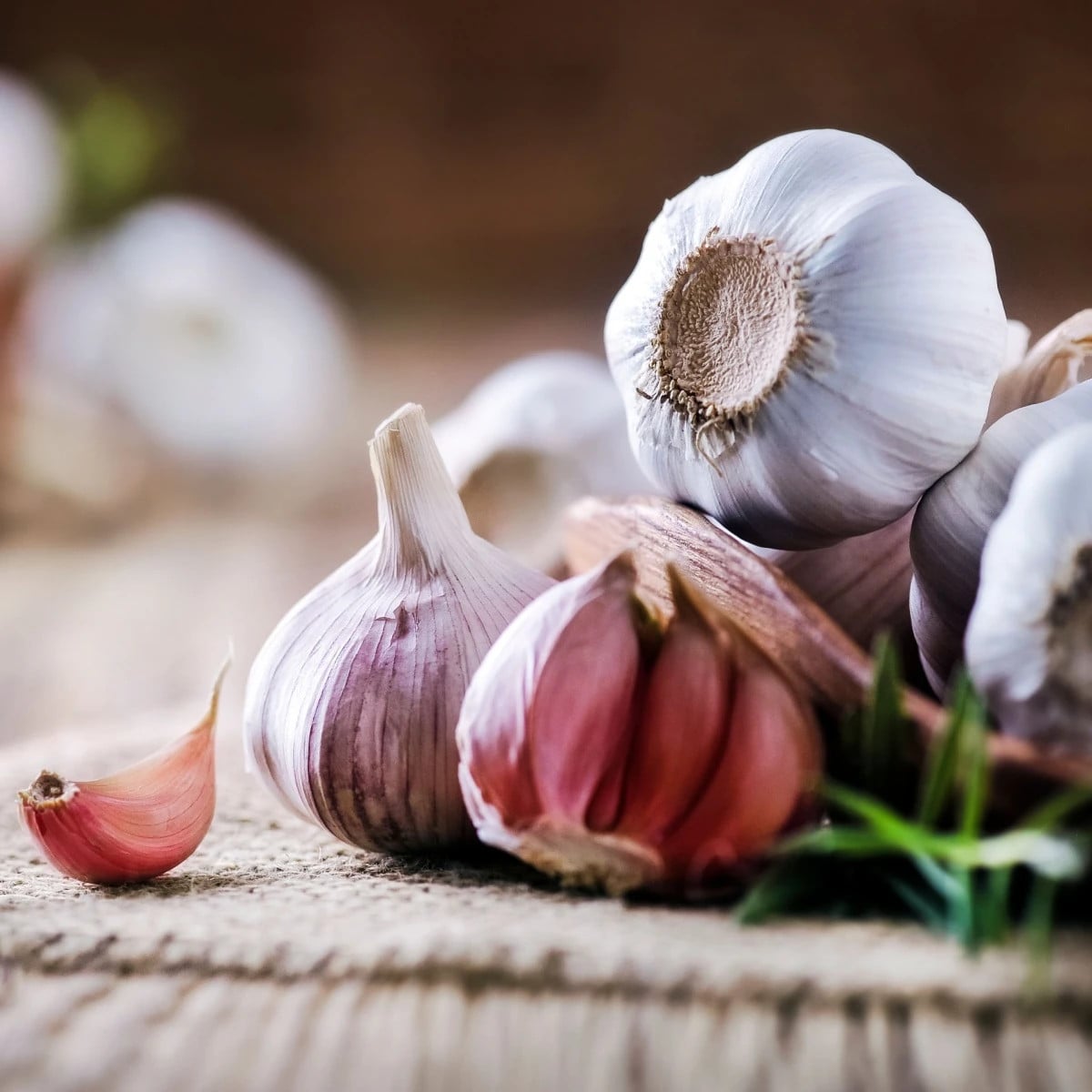 Sadbový cesnak Morado de Cuenca - Allium - nepaličák - cibuľa cesnaku - 1 balenie