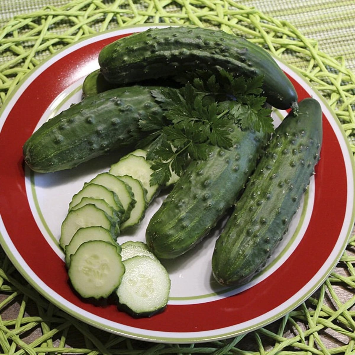 Uhorka Patio Snacker F1 - vhodné pre balkóny - Cucumis sativus - semená uhorky - 8 ks