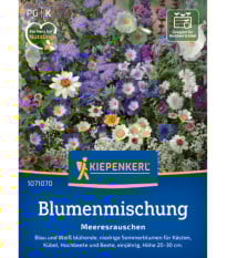 Kvetinová zmes - Letná zmes s atmosférou mora - semená Kiepenkerl - 1 ks