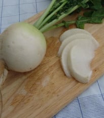 Reďkev Acord - Raphanus sativus - semená reďkve - 150 ks