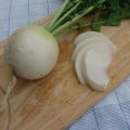 Reďkev Acord - Raphanus sativus - semená reďkve - 150 ks