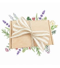 Darčekový balíček byliniek - súprava semienok