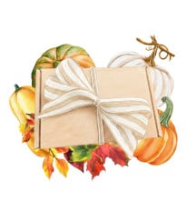 Darčekový balíček tekvíc - súprava semienok