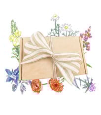 Jedlé kvety – darčekové balenie semien – pestovanie