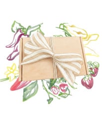 Darčekový balíček semien chilli - súprava semienok