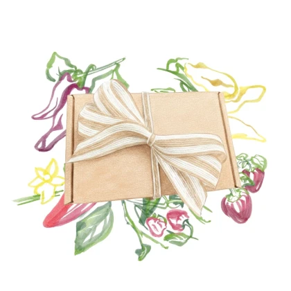 Darčekový balíček semien chilli - súprava semienok