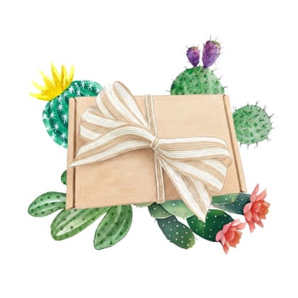Darčekový balíček kaktusov - súprava semienok