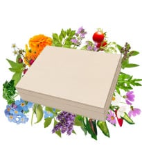 TOP semienka v darčekovej škatuľke