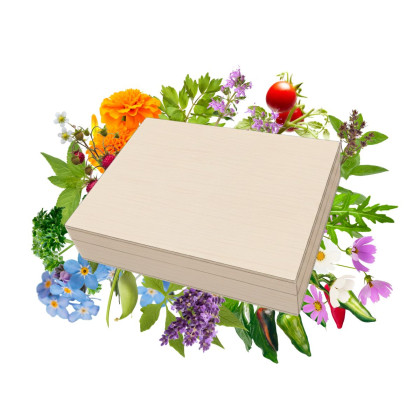 TOP semienka v darčekovej škatuľke