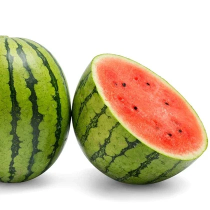 Melón vodný Nanoor F1 - Citrullus lanatus - semená melónu - 6 ks