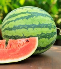 Melón vodný Nanoor F1 - Citrullus lanatus - semená melónu - 6 ks