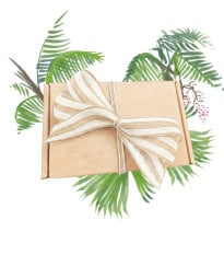 Darčekový balíček paliem - súprava semienok