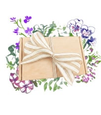 Darčekový balíček kvetov do kvetináča - súprava semienok