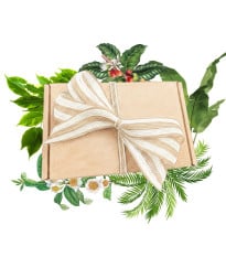 Darčekový balíček izbových rastlín - súprava semienok