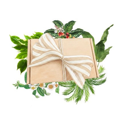 Darčekový balíček izbových rastlín - súprava semienok