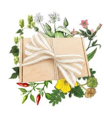 Darčekový balíček pre mužov - súprava semienok