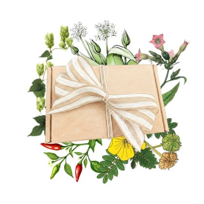 Darčekový balíček pre mužov - súprava semienok