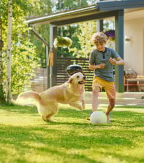 BIO Trávne osivo - univerzálne - semená - zmes - Sativa - 500 g